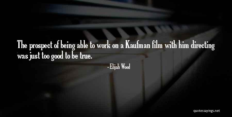 Film Directing Quotes By Elijah Wood Film Directing Quotes By Elijah Wood