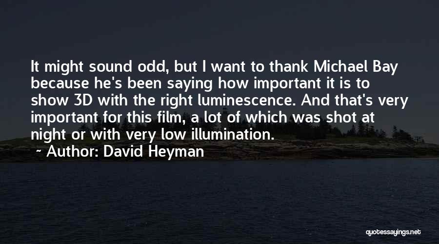 Film Sound Quotes By David Heyman