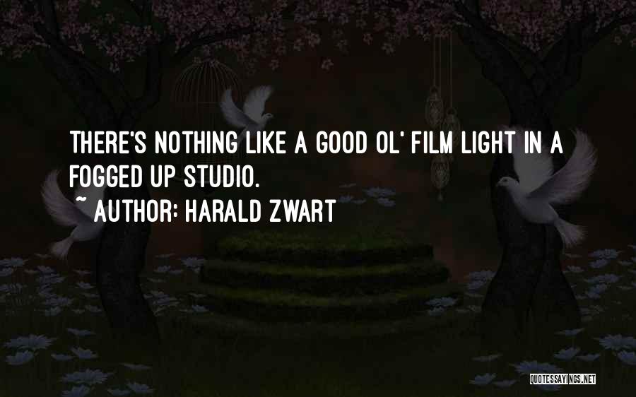 Film Studio Quotes By Harald Zwart