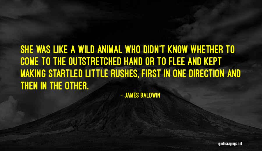 Filman Akiniai Quotes By James Baldwin Filman Akiniai Quotes By James Baldwin