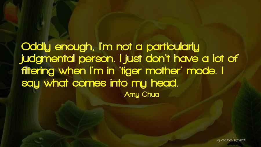 Filtering What You Say Quotes By Amy Chua Filtering What You Say Quotes By Amy Chua