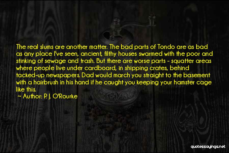 Filthy Houses Quotes By P. J. O'Rourke
