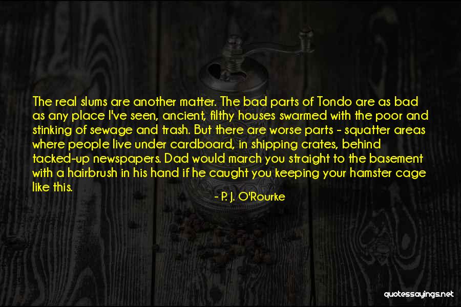 Filthy Houses Quotes By P. J. O'Rourke Filthy Houses Quotes By P. J. O'Rourke