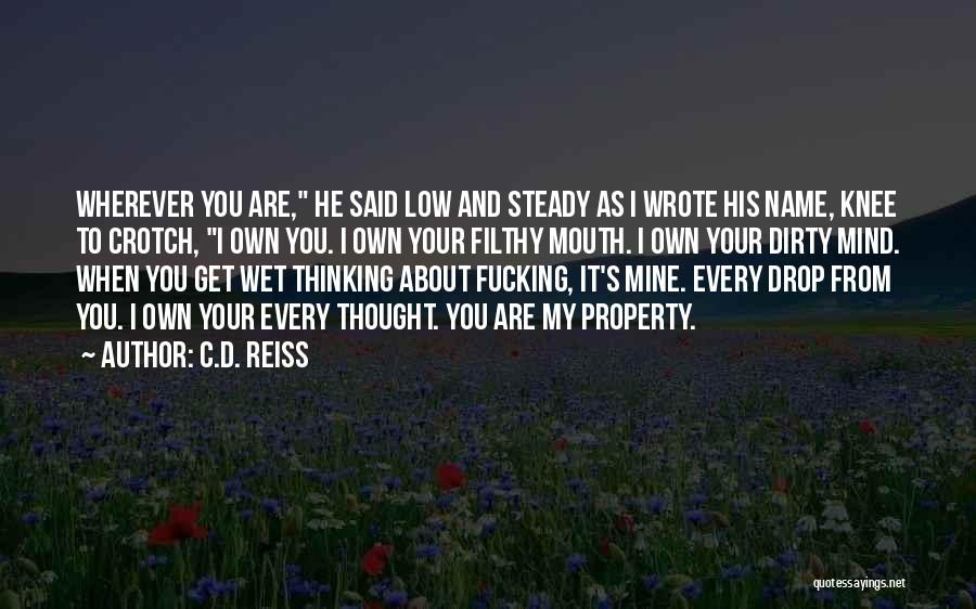 Filthy Mind Quotes By C.D. Reiss