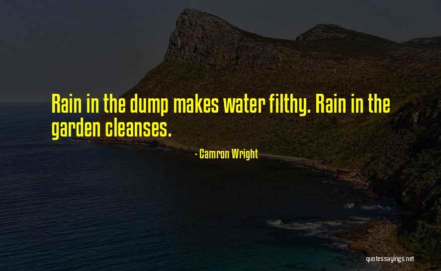 Filthy Quotes By Camron Wright