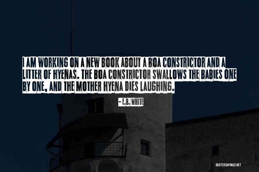 Filtrez 339 Quotes By E.B. White Filtrez 339 Quotes By E.B. White