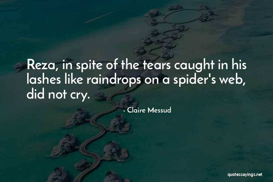 Fimognari Financial Quotes By Claire Messud Fimognari Financial Quotes By Claire Messud