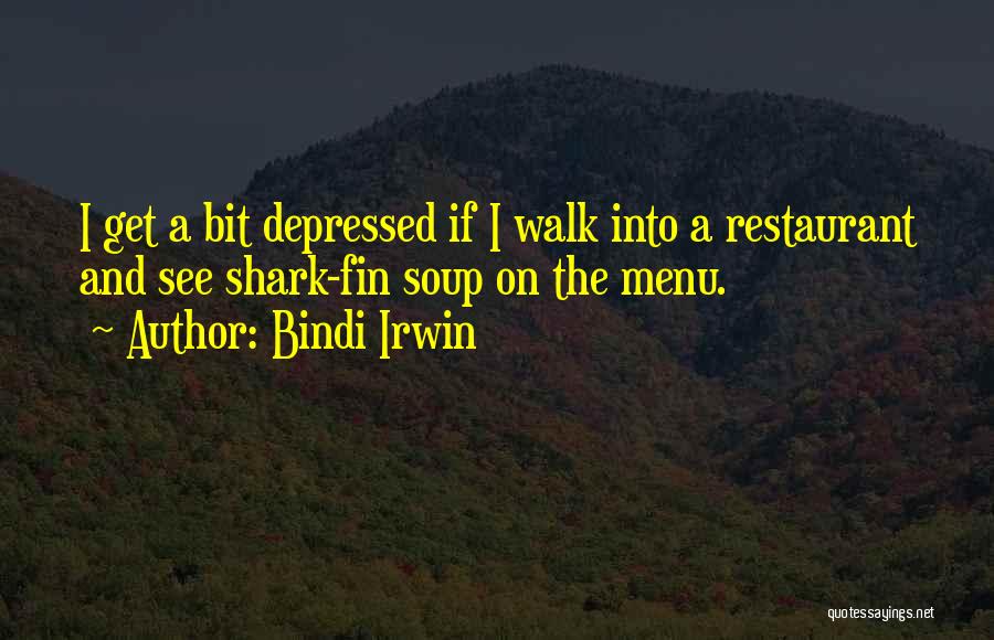 Fin Quotes By Bindi Irwin