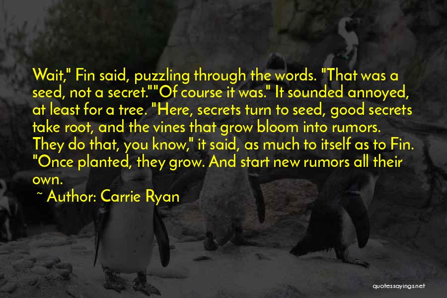 Fin Quotes By Carrie Ryan