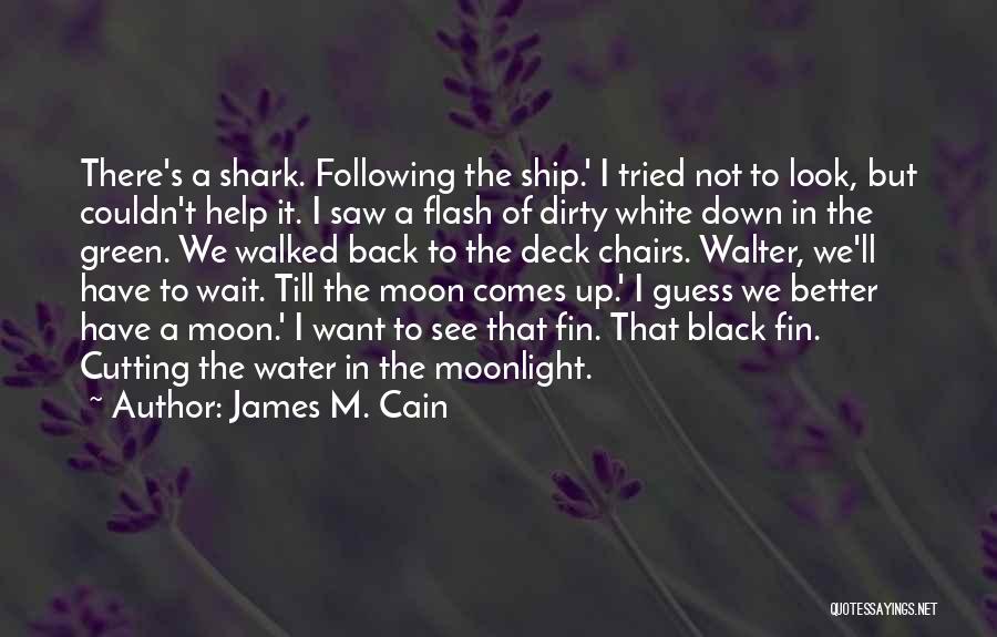 Fin Quotes By James M. Cain