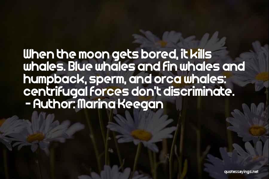 Fin Quotes By Marina Keegan