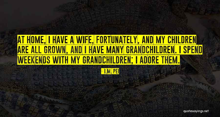 Final Fantasy Ix Vivi Quotes By I.M. Pei Final Fantasy Ix Vivi Quotes By I.M. Pei