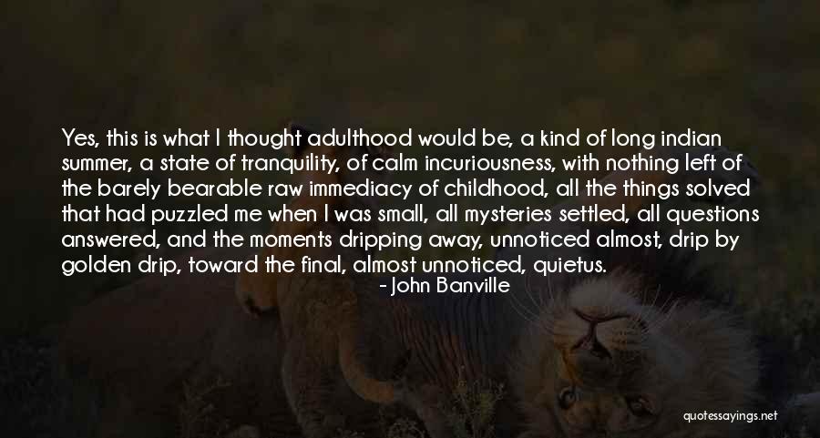 Final Moments Quotes By John Banville Final Moments Quotes By John Banville