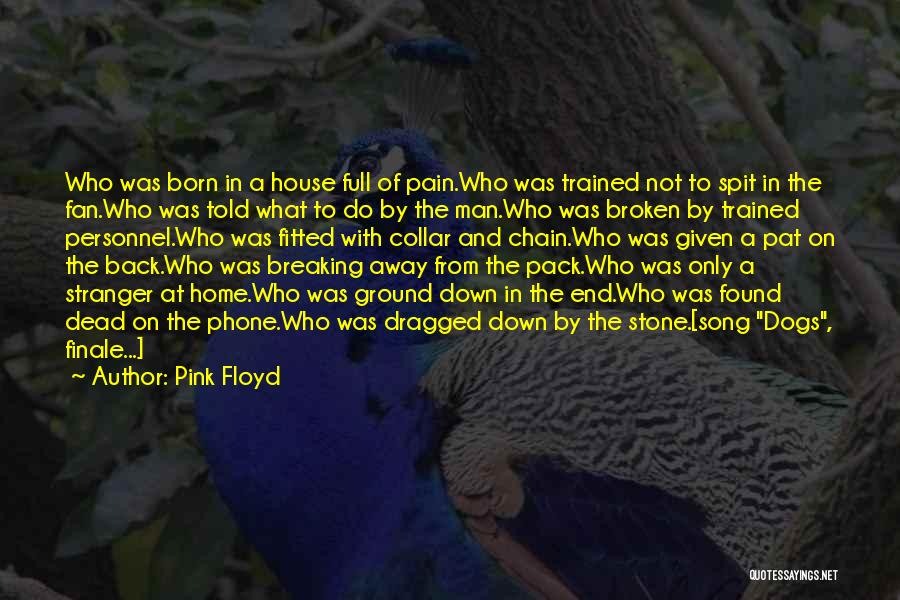 Finale Quotes By Pink Floyd