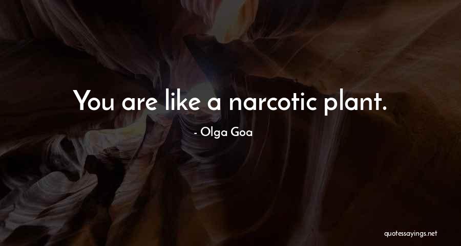 Finalization In Java Quotes By Olga Goa Finalization In Java Quotes By Olga Goa