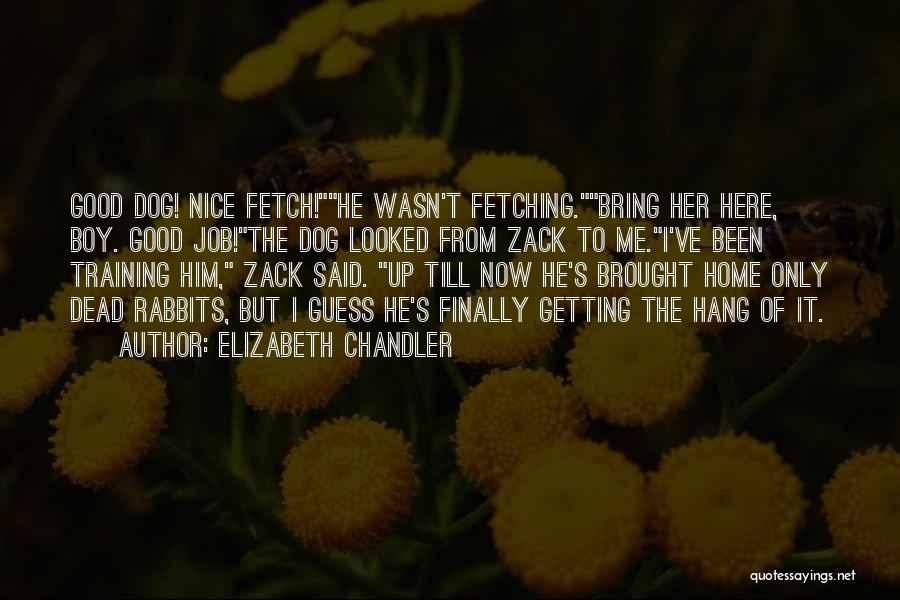 Finally Back To Home Quotes By Elizabeth Chandler