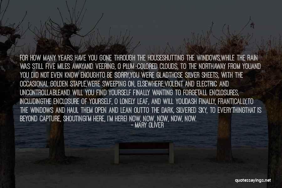 Finally Find You Quotes By Mary Oliver Finally Find You Quotes By Mary Oliver