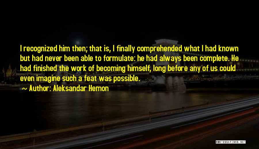 Finally Finished Work Quotes By Aleksandar Hemon