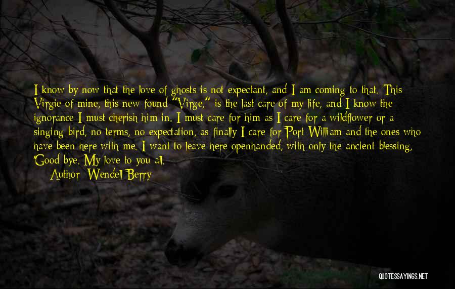 Finally Found The One Love Quotes By Wendell Berry