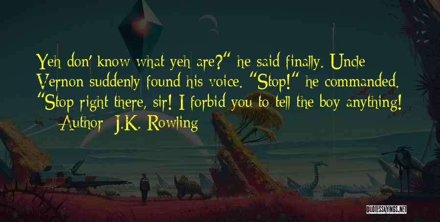 Finally Found The Right One Quotes By J.K. Rowling