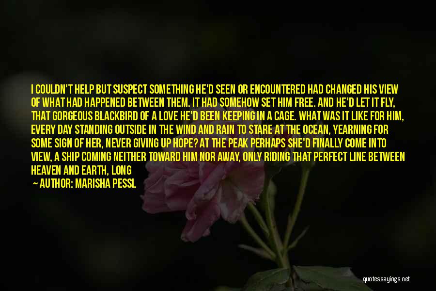 Finally Happened Quotes By Marisha Pessl