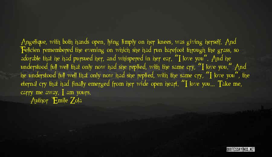 Finally I Am In Love Quotes By Emile Zola