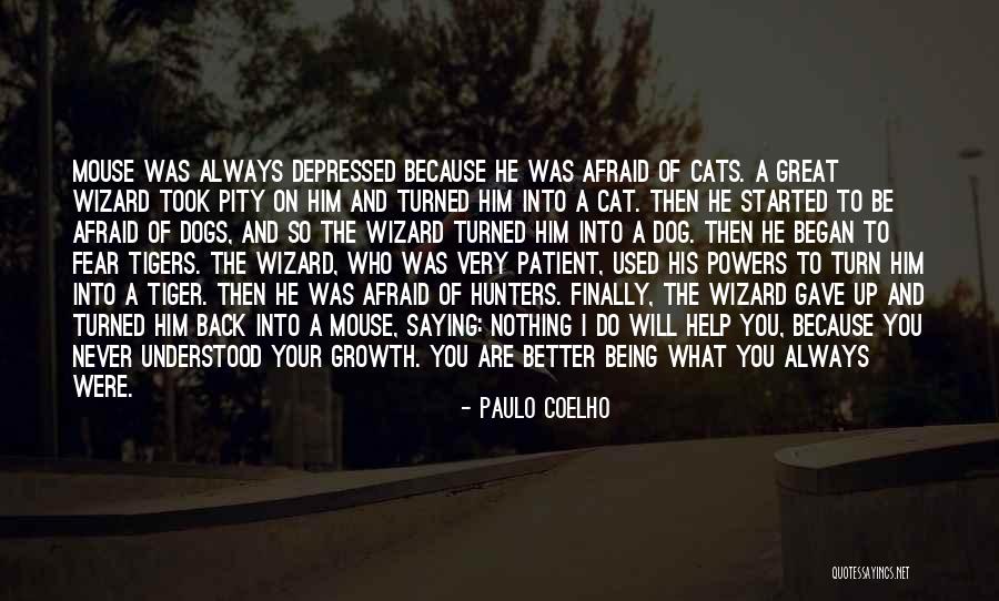 Finally I Understood Quotes By Paulo Coelho Finally I Understood Quotes By Paulo Coelho