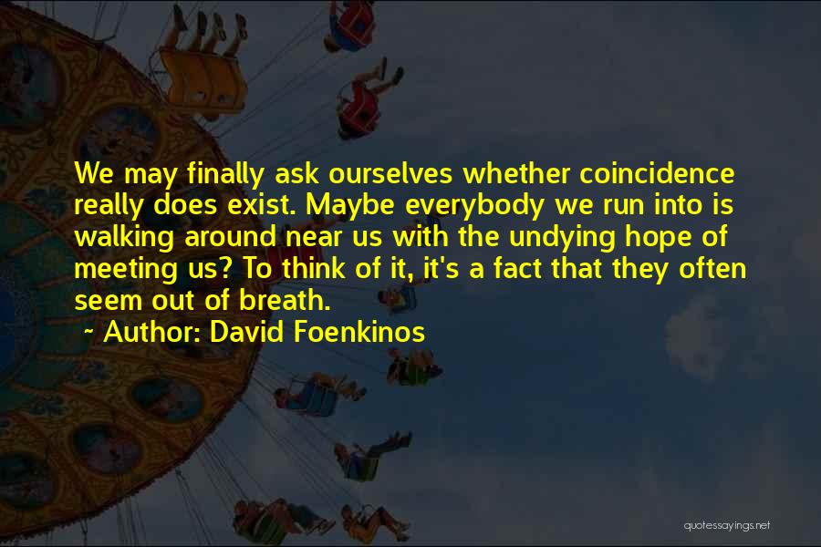 Finally Meeting Someone Quotes By David Foenkinos