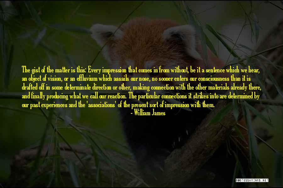 Finally Quotes By William James