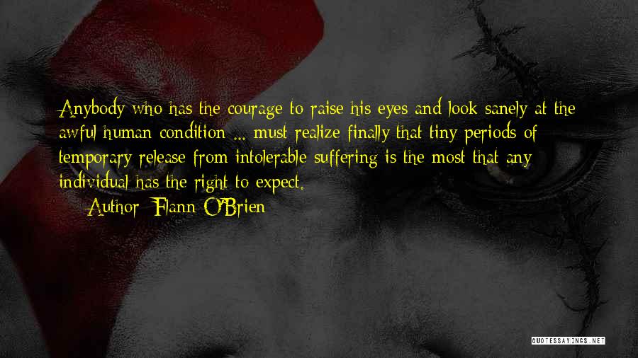 Finally Realize Quotes By Flann O'Brien
