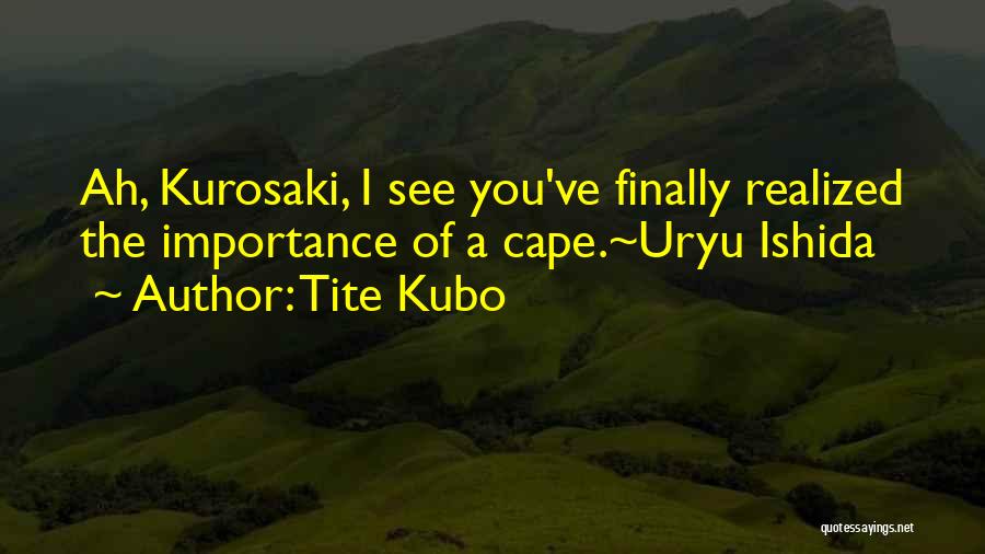 Finally Realized Quotes By Tite Kubo