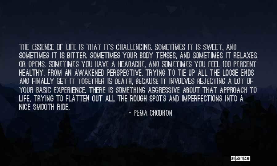 Finally We Will Be Together Quotes By Pema Chodron