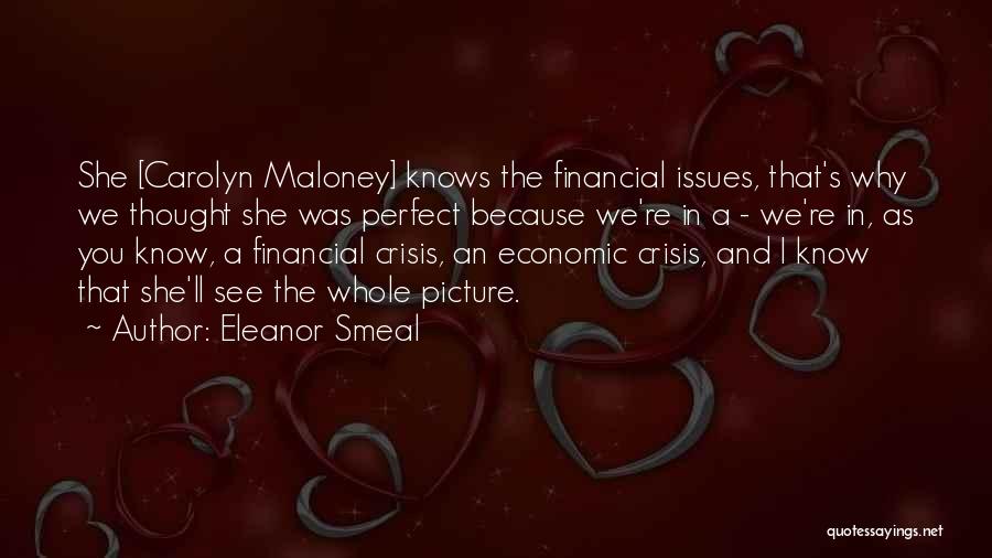 Financial Crisis Quotes By Eleanor Smeal