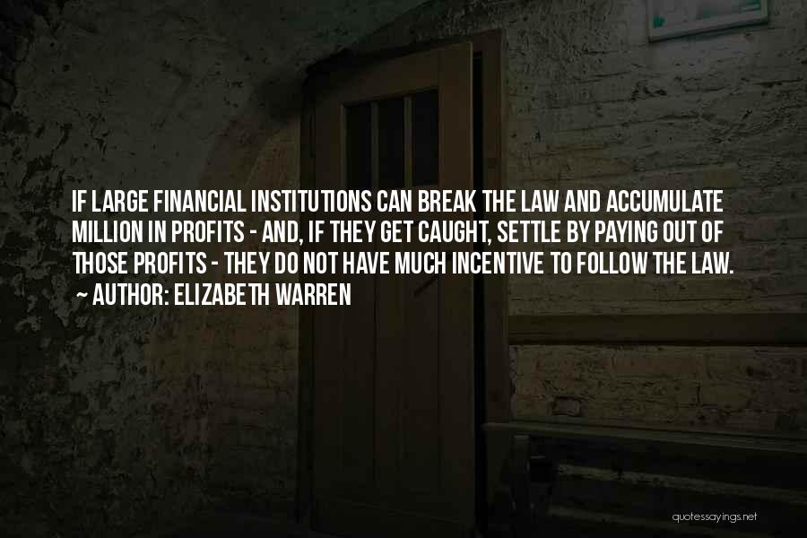 Financial Institutions Quotes By Elizabeth Warren