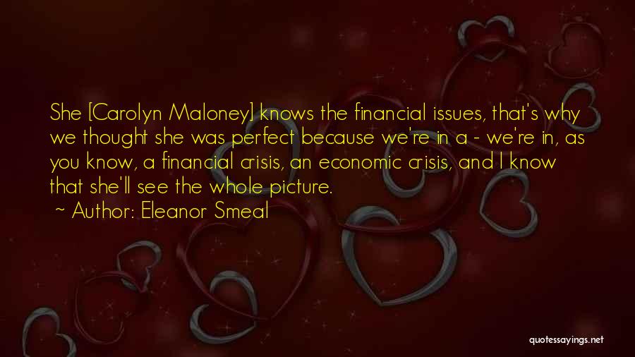 Financial Issues Quotes By Eleanor Smeal