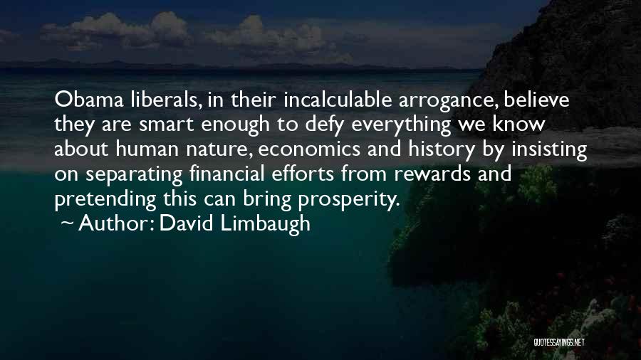 Financial Rewards Quotes By David Limbaugh