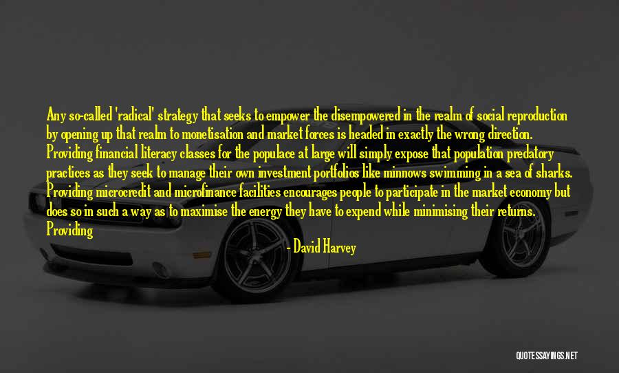 Financial Stability Quotes By David Harvey