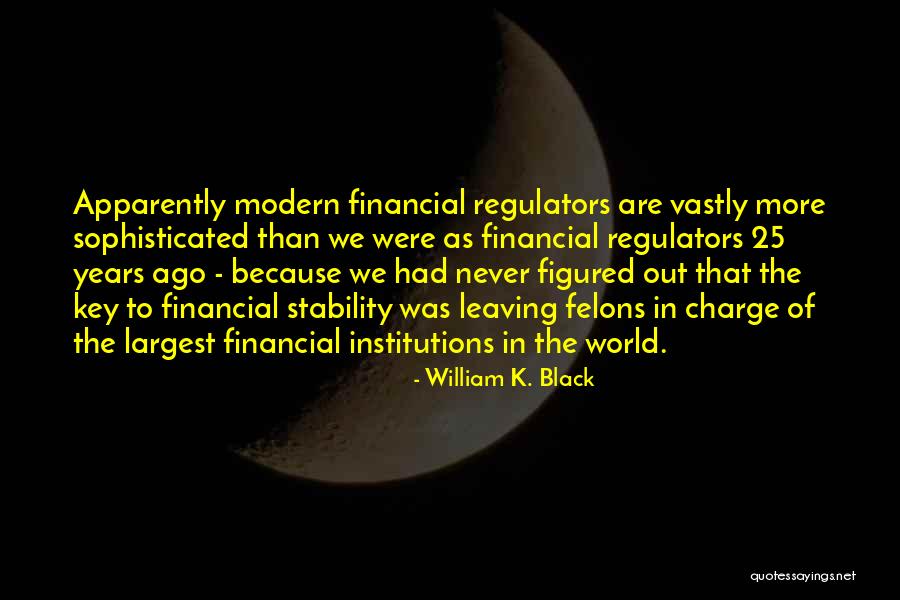 Financial Stability Quotes By William K. Black