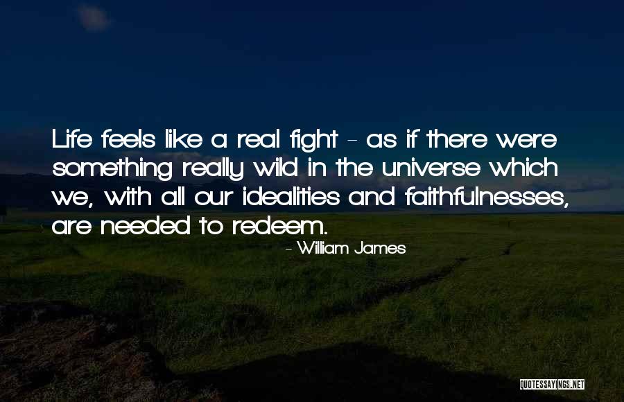 Finanzas Df Quotes By William James Finanzas Df Quotes By William James