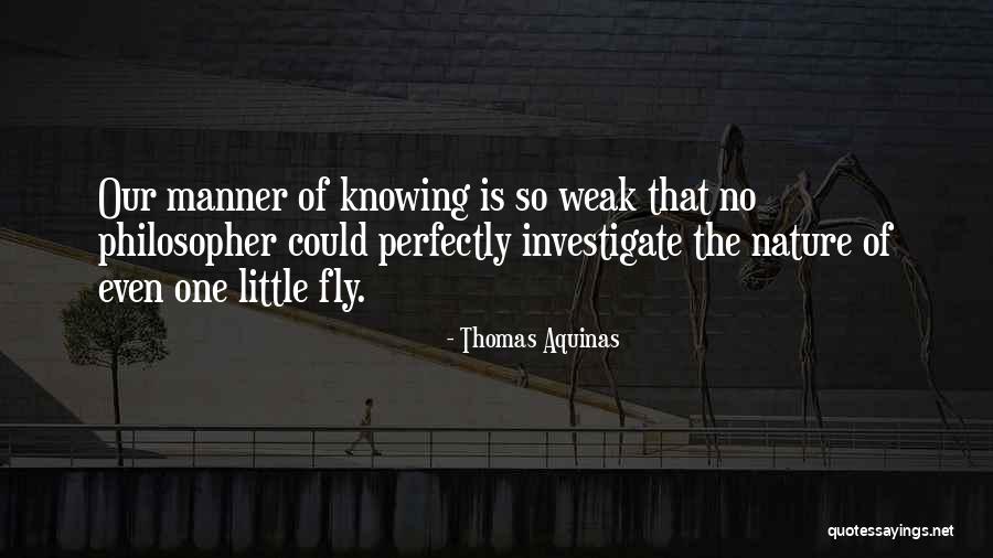 Fincannon And Associates Quotes By Thomas Aquinas Fincannon And Associates Quotes By Thomas Aquinas