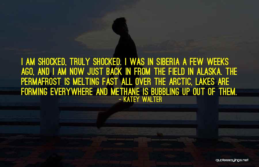 Finchem Az Quotes By Katey Walter Finchem Az Quotes By Katey Walter