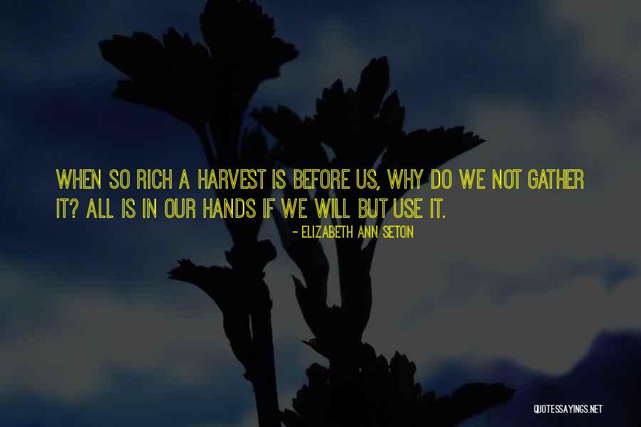 Finchkit And Tallstar Quotes By Elizabeth Ann Seton Finchkit And Tallstar Quotes By Elizabeth Ann Seton