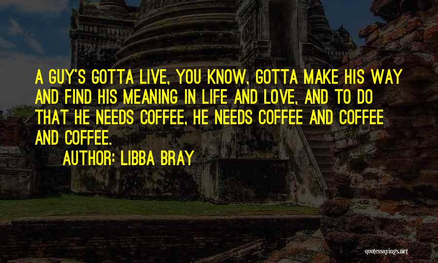 Find A Guy Love Quotes By Libba Bray