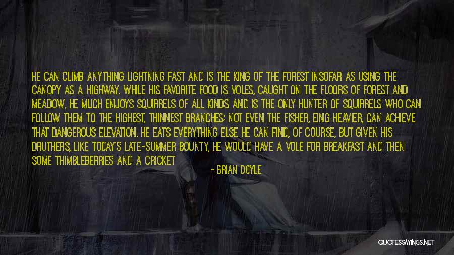 Find All Kinds Of Quotes By Brian Doyle Find All Kinds Of Quotes By Brian Doyle