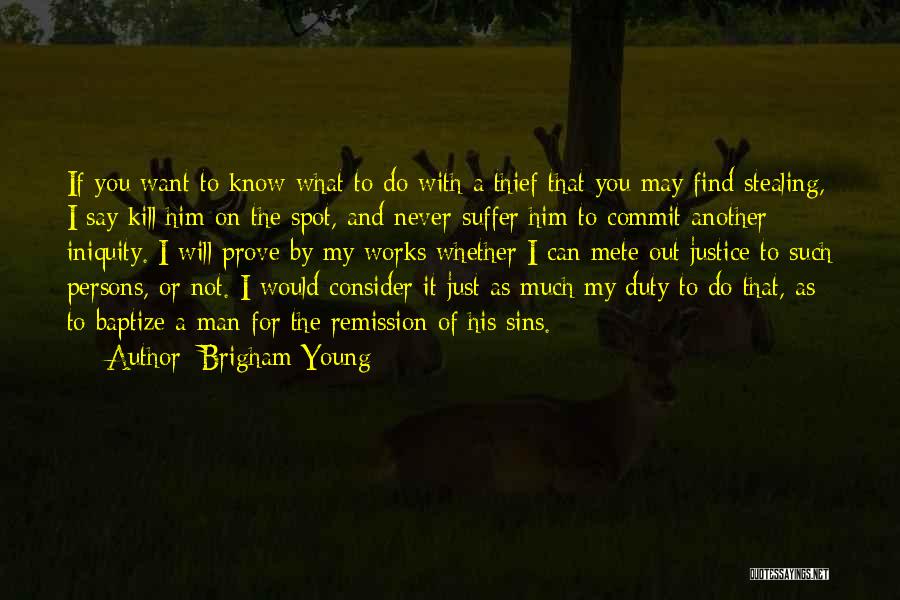 Find Another You Quotes By Brigham Young