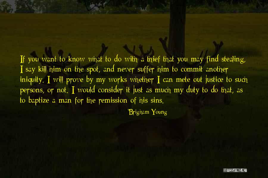 Find Another You Quotes By Brigham Young