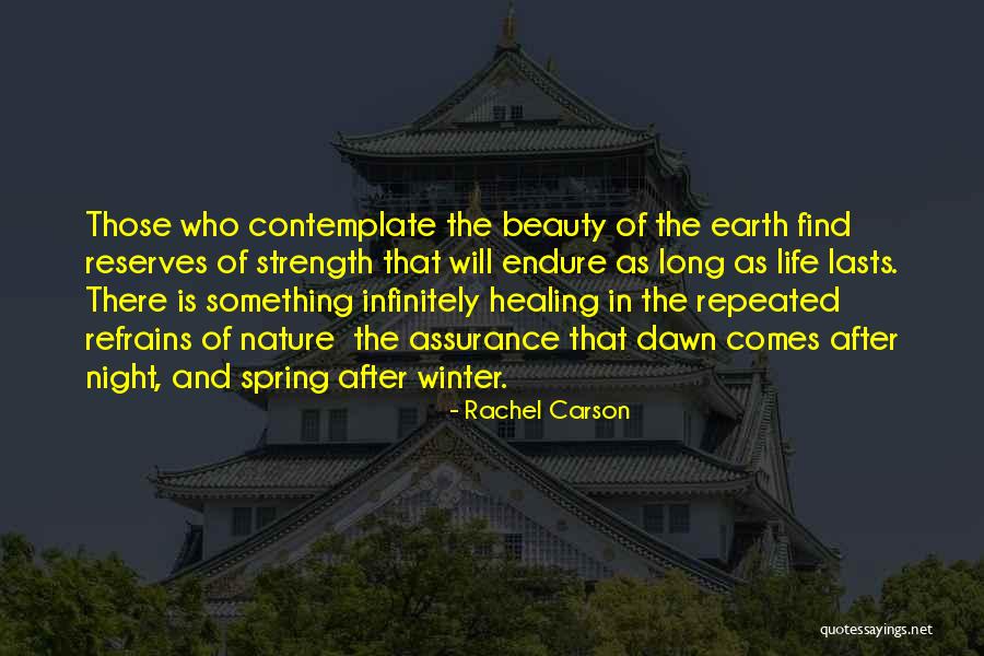 Find Beauty In Life Quotes By Rachel Carson