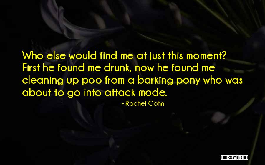 Find Cleaning Quotes By Rachel Cohn Find Cleaning Quotes By Rachel Cohn