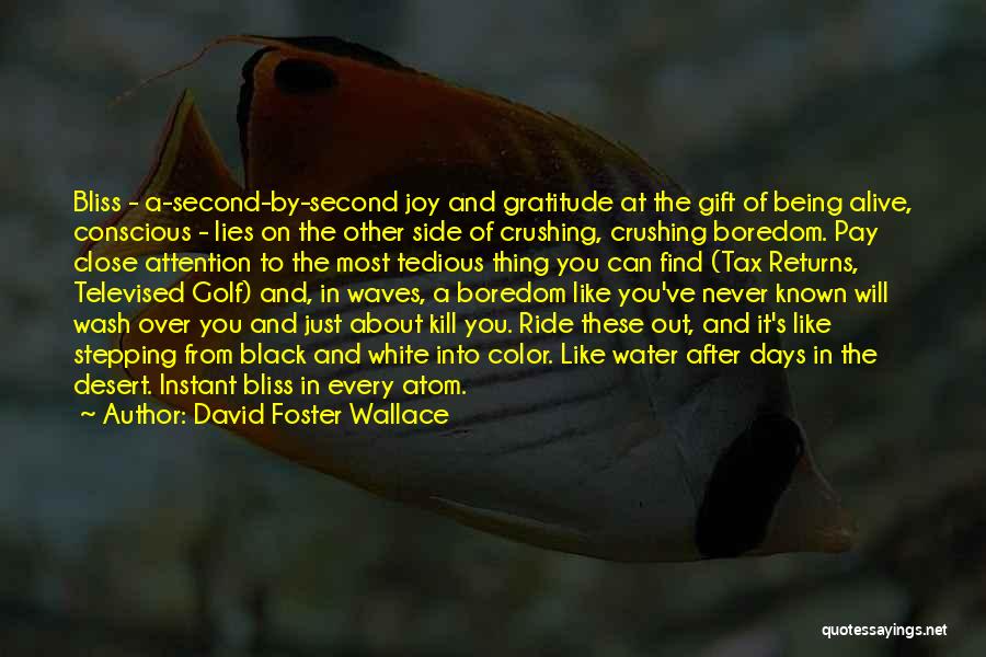 Find Gratitude Quotes By David Foster Wallace