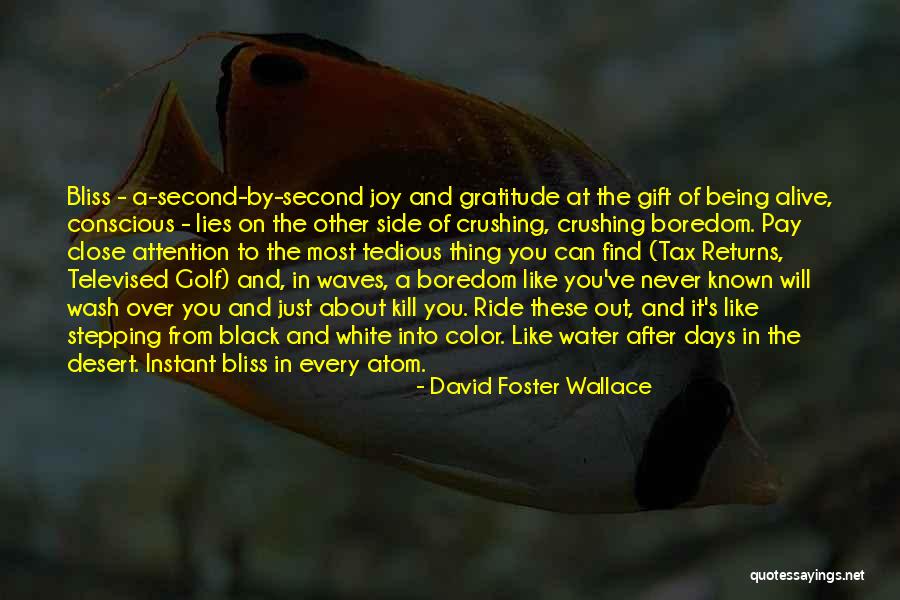 Find Gratitude Quotes By David Foster Wallace